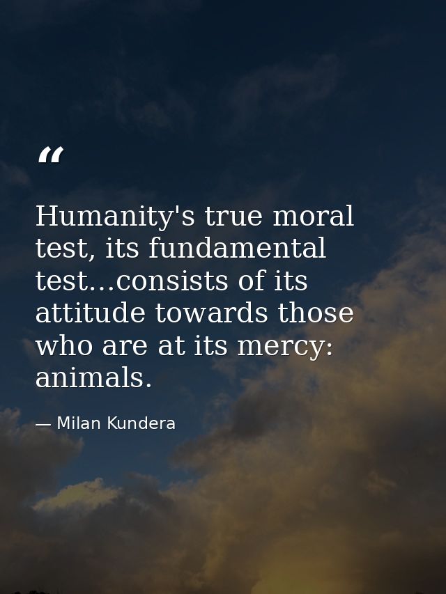 Humanity's true moral test, its fundamental test…consists of its attitude towards those who are at its mercy: animals. — Milan Kundera