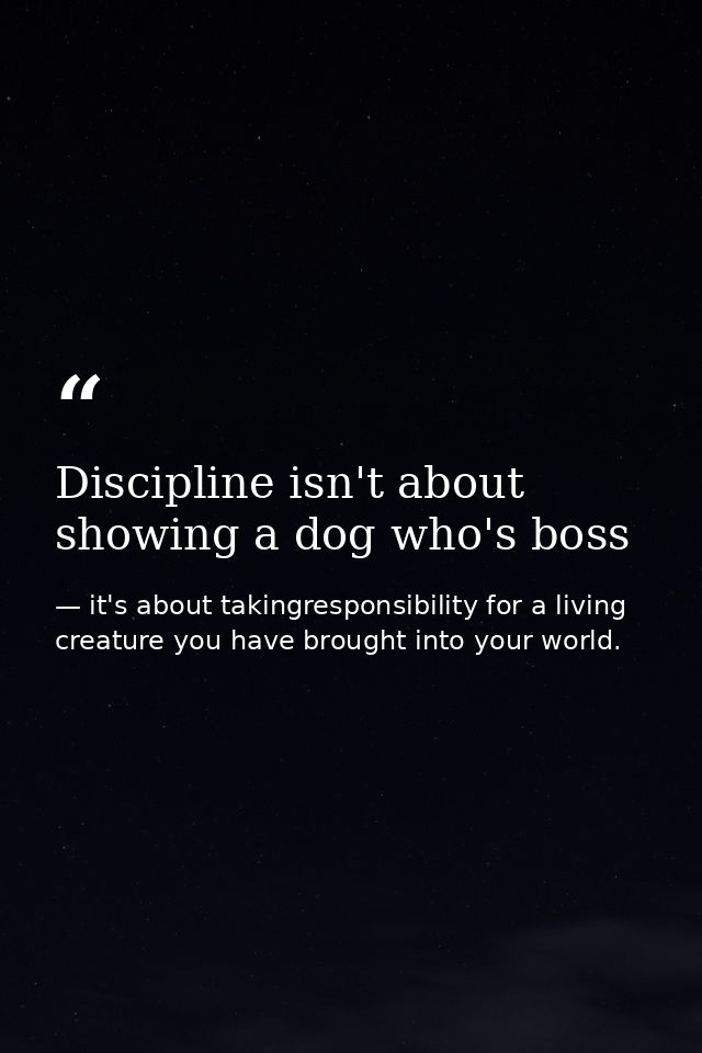 Discipline isn't about showing a dog who's boss — it's about takingresponsibility for a living creature you have brought into your world.