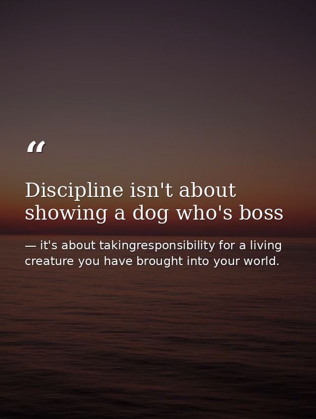 Discipline isn't about showing a dog who's boss — it's about takingresponsibility for a living creature you have brought into your world.