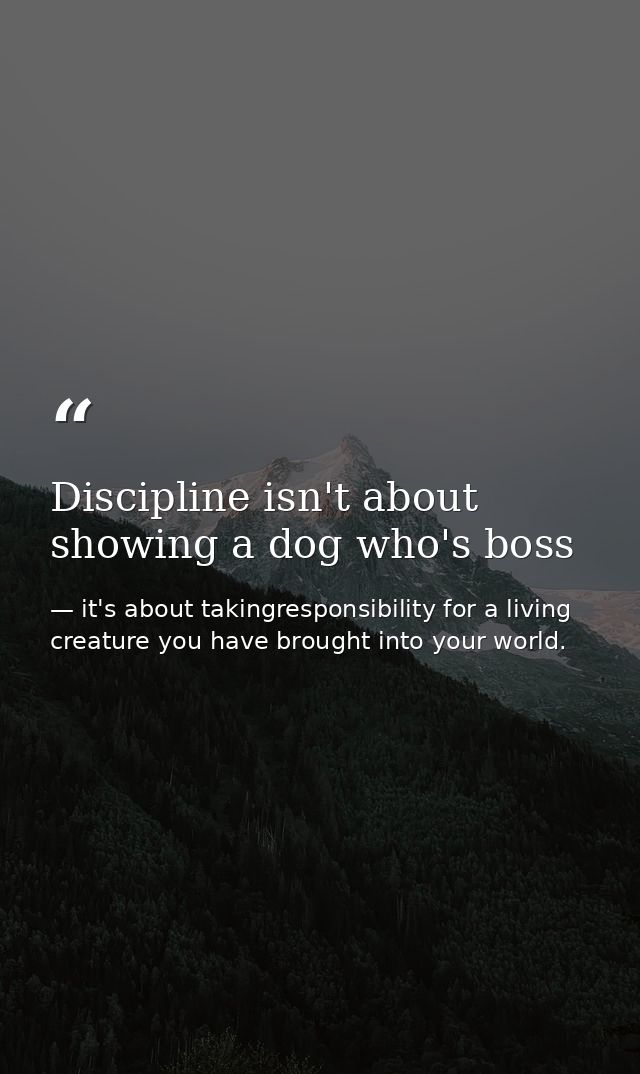 Discipline isn't about showing a dog who's boss — it's about takingresponsibility for a living creature you have brought into your world.
