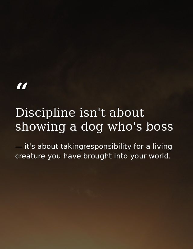 Discipline isn't about showing a dog who's boss — it's about takingresponsibility for a living creature you have brought into your world.