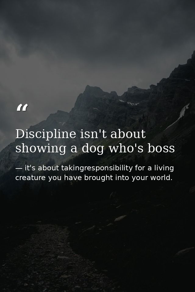 Discipline isn't about showing a dog who's boss — it's about takingresponsibility for a living creature you have brought into your world.