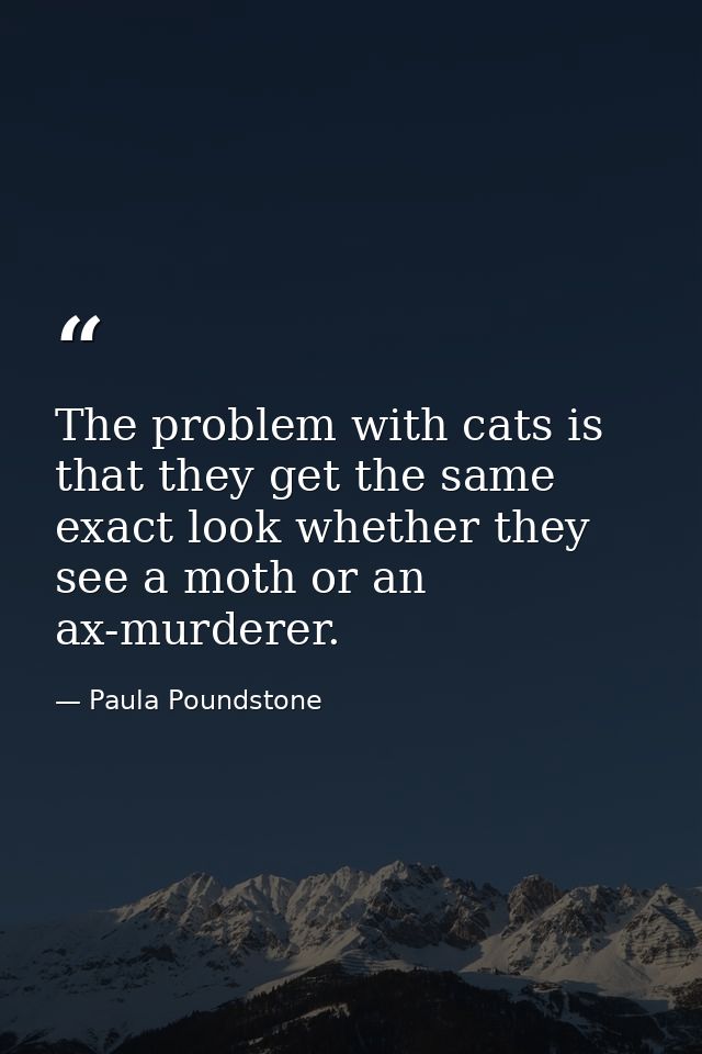 The problem with cats is that they get the same exact look whether they see a moth or an ax-murderer. — Paula Poundstone