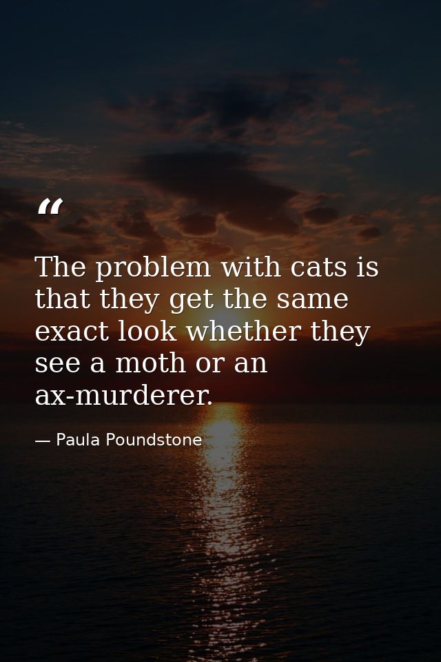 The problem with cats is that they get the same exact look whether they see a moth or an ax-murderer. — Paula Poundstone