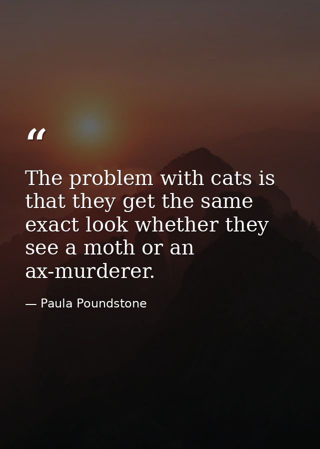 The problem with cats is that they get the same exact look whether they see a moth or an ax-murderer. — Paula Poundstone