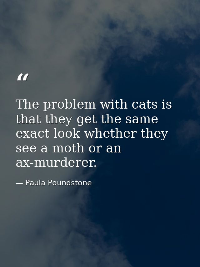 The problem with cats is that they get the same exact look whether they see a moth or an ax-murderer. — Paula Poundstone