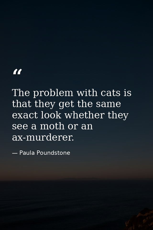 The problem with cats is that they get the same exact look whether they see a moth or an ax-murderer. — Paula Poundstone