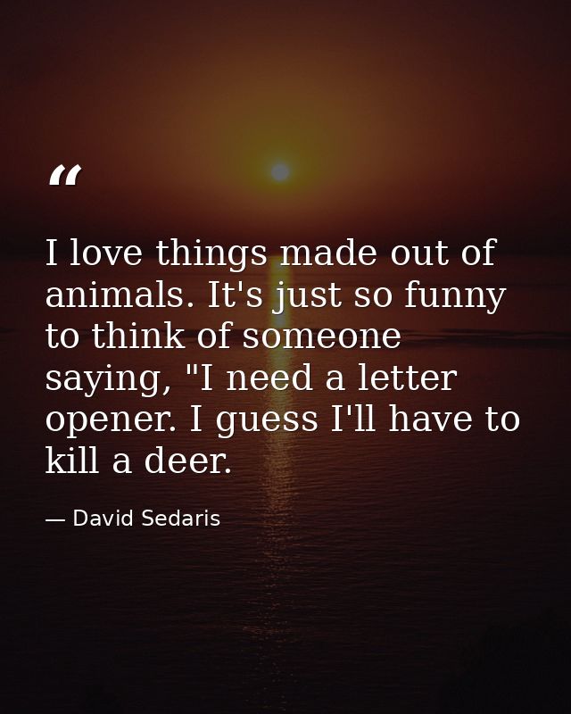 I love things made out of animals. It's just so funny to think of someone saying, "I need a letter opener. I guess I'll  — David Sedaris