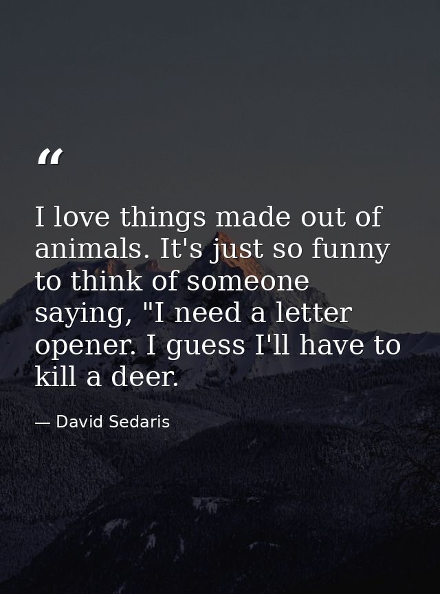 I love things made out of animals. It's just so funny to think of someone saying, "I need a letter opener. I guess I'll  — David Sedaris
