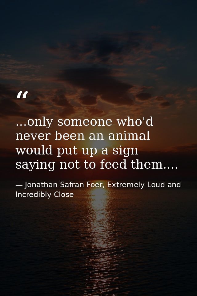 ...only someone who'd never been an animal would put up a sign saying not to feed them.... — Jonathan Safran Foer, Extremely Loud and Incredibly Close
