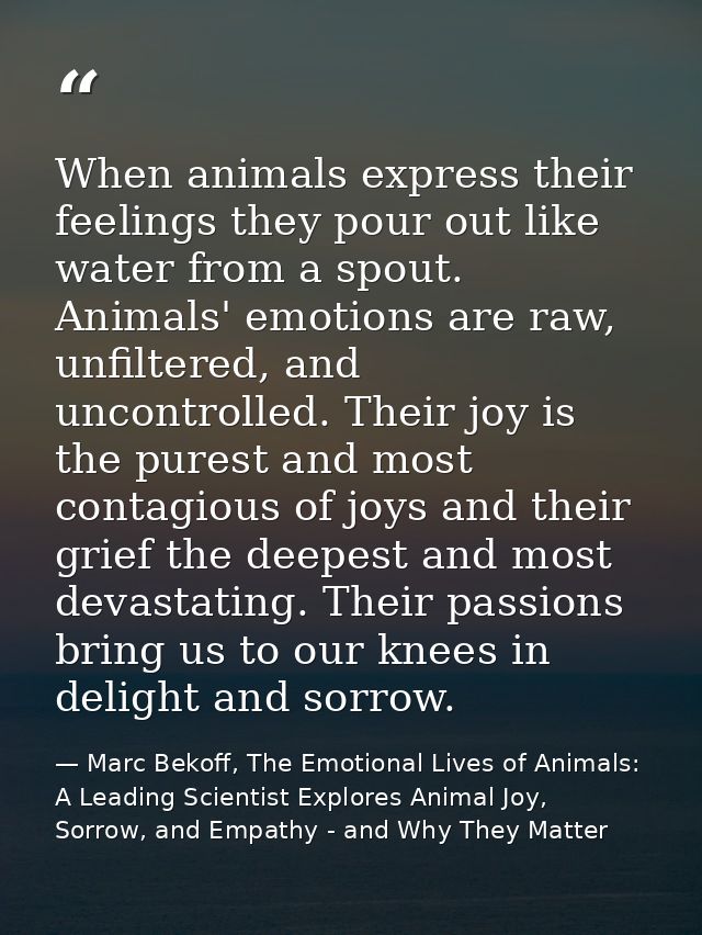When animals express their feelings they pour out like water from a spout. Animals' emotions are raw, unfiltered, and un — Marc Bekoff, The Emotional Lives of Animals: A Leading Scientist Explores Animal Joy, Sorrow, and Empathy - and Why They Matter