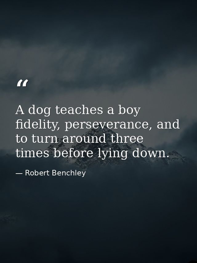 A dog teaches a boy fidelity, perseverance, and to turn around three times before lying down. — Robert Benchley
