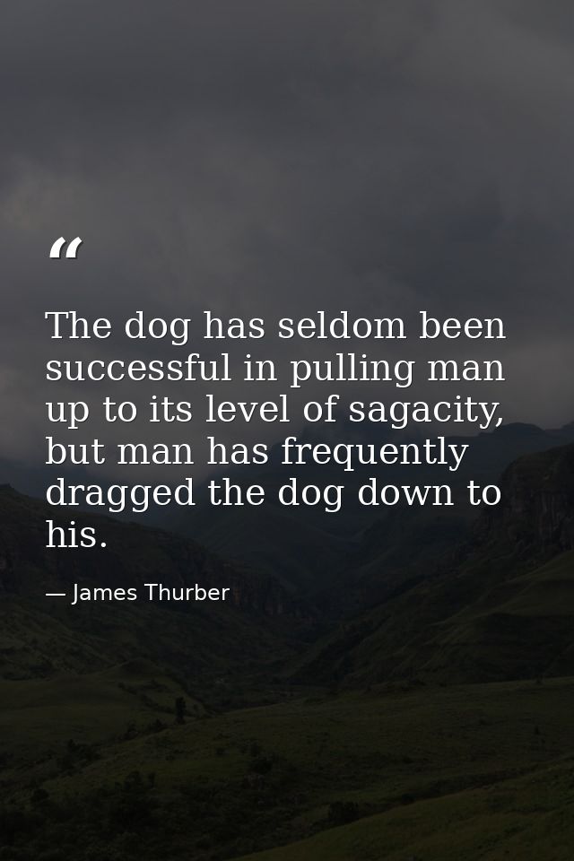 The dog has seldom been successful in pulling man up to its level of sagacity, but man has frequently dragged the dog do — James Thurber