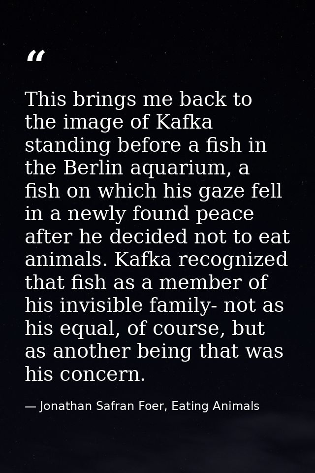 This brings me back to the image of Kafka standing before a fish in the Berlin aquarium, a fish on which his gaze fell i — Jonathan Safran Foer, Eating Animals