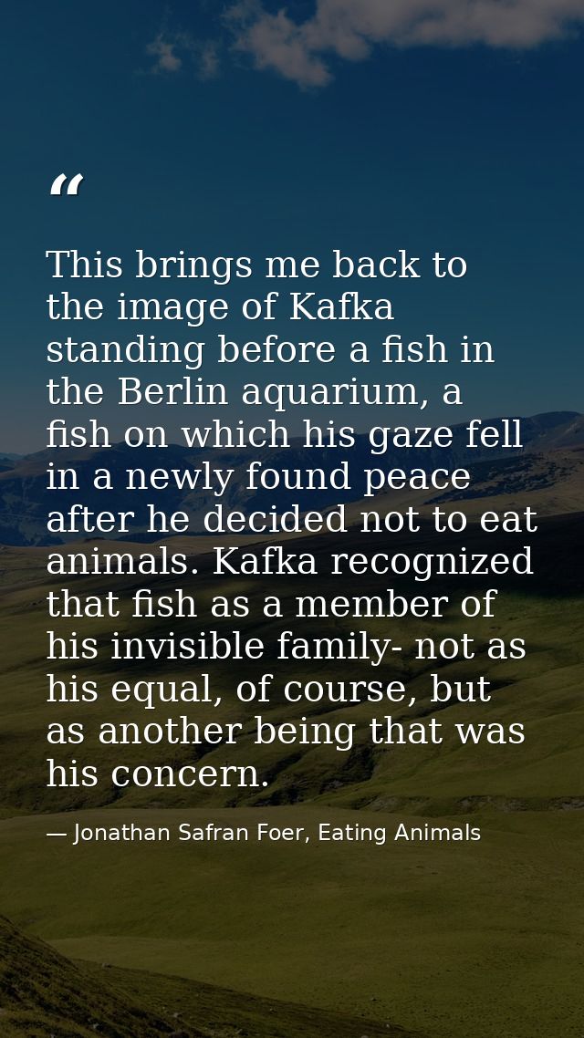 This brings me back to the image of Kafka standing before a fish in the Berlin aquarium, a fish on which his gaze fell i — Jonathan Safran Foer, Eating Animals