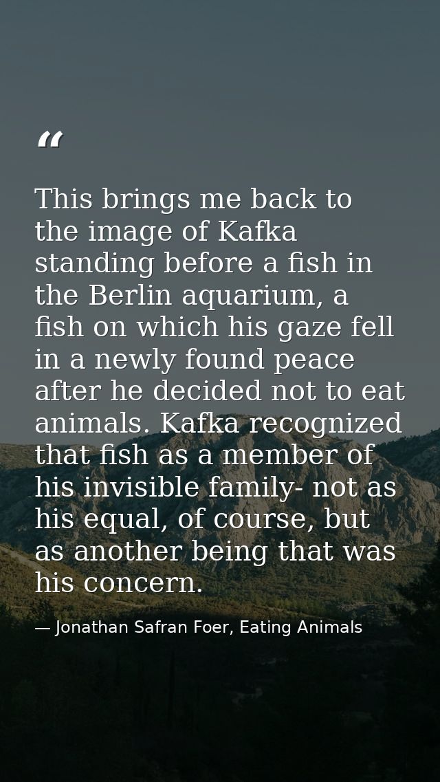 This brings me back to the image of Kafka standing before a fish in the Berlin aquarium, a fish on which his gaze fell i — Jonathan Safran Foer, Eating Animals