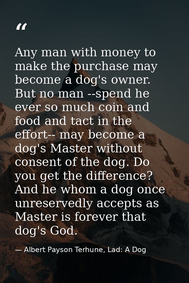 Any man with money to make the purchase may become a dog's owner. But no man --spend he ever so much coin and food and t — Albert Payson Terhune, Lad: A Dog