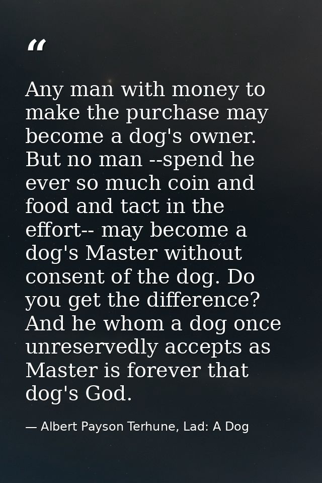 Any man with money to make the purchase may become a dog's owner. But no man --spend he ever so much coin and food and t — Albert Payson Terhune, Lad: A Dog