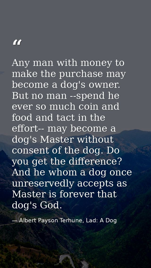 Any man with money to make the purchase may become a dog's owner. But no man --spend he ever so much coin and food and t — Albert Payson Terhune, Lad: A Dog