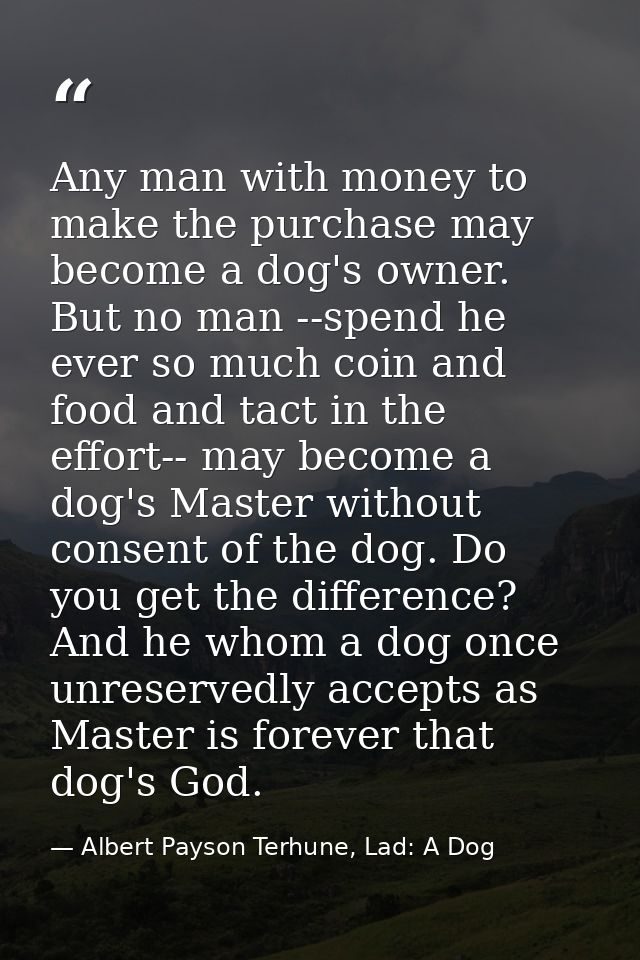 Any man with money to make the purchase may become a dog's owner. But no man --spend he ever so much coin and food and t — Albert Payson Terhune, Lad: A Dog