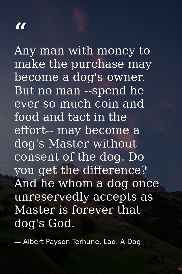 Any man with money to make the purchase may become a dog's owner. But no man --spend he ever so much coin and food and t — Albert Payson Terhune, Lad: A Dog