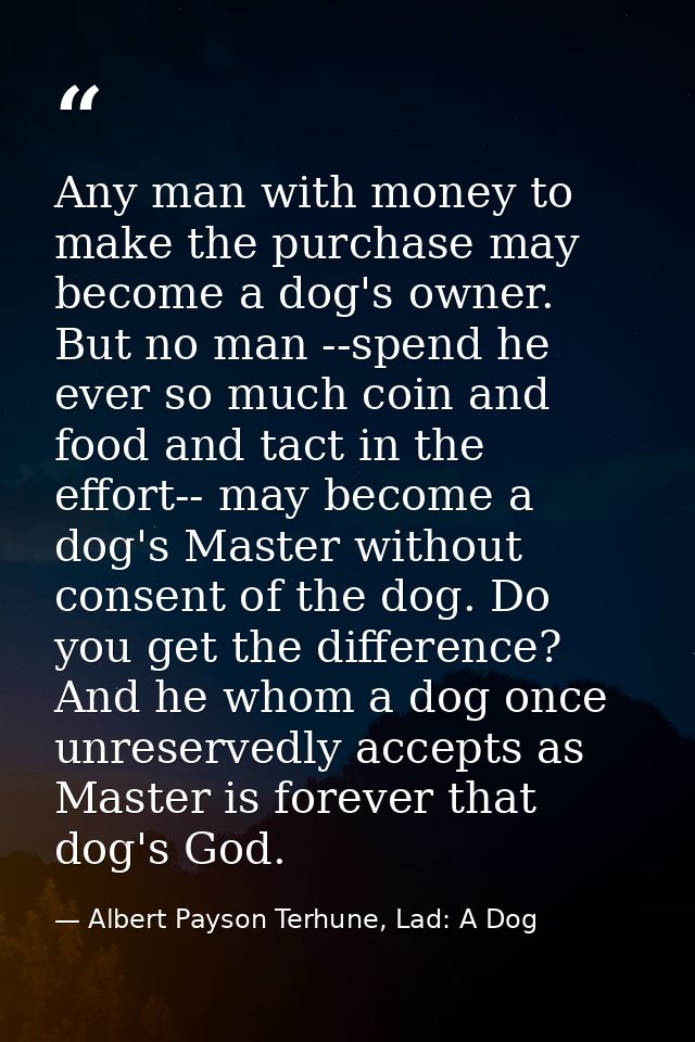 Any man with money to make the purchase may become a dog's owner. But no man --spend he ever so much coin and food and t — Albert Payson Terhune, Lad: A Dog