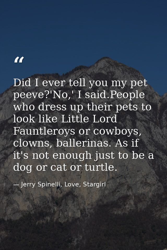 Did I ever tell you my pet peeve?'No,' I said.People who dress up their pets to look like Little Lord Fauntleroys or cow — Jerry Spinelli, Love, Stargirl