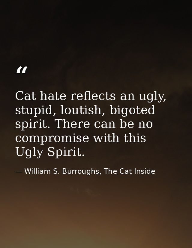 Cat hate reflects an ugly, stupid, loutish, bigoted spirit. There can be no compromise with this Ugly Spirit. — William S. Burroughs, The Cat Inside
