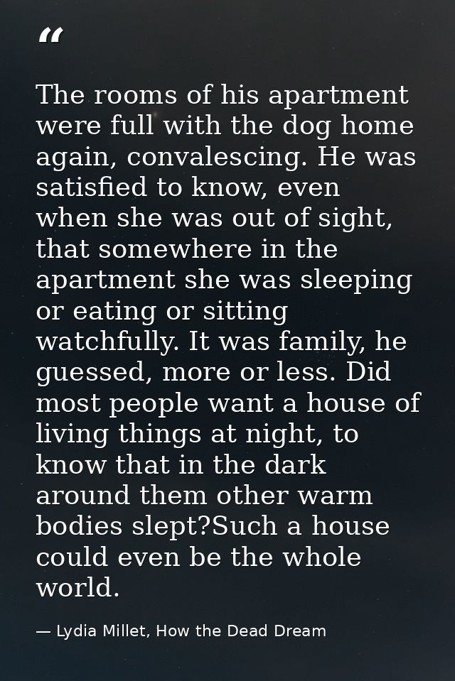 The rooms of his apartment were full with the dog home again, convalescing. He was satisfied to know, even when she was  — Lydia Millet, How the Dead Dream