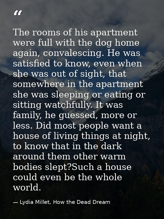 The rooms of his apartment were full with the dog home again, convalescing. He was satisfied to know, even when she was  — Lydia Millet, How the Dead Dream