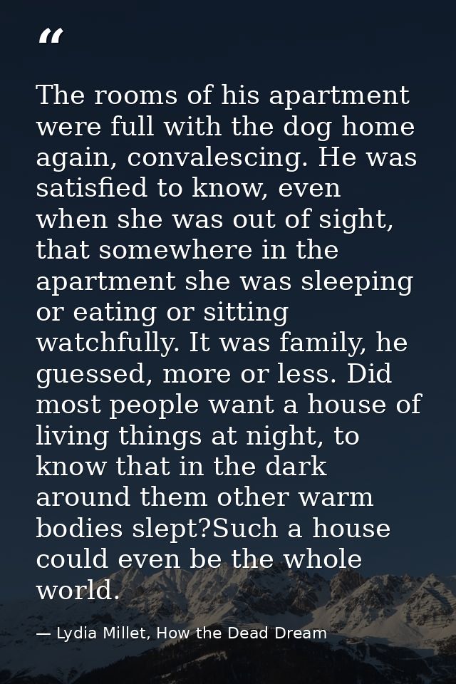 The rooms of his apartment were full with the dog home again, convalescing. He was satisfied to know, even when she was  — Lydia Millet, How the Dead Dream