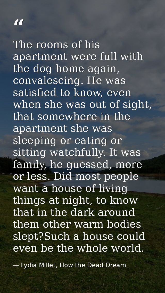 The rooms of his apartment were full with the dog home again, convalescing. He was satisfied to know, even when she was  — Lydia Millet, How the Dead Dream