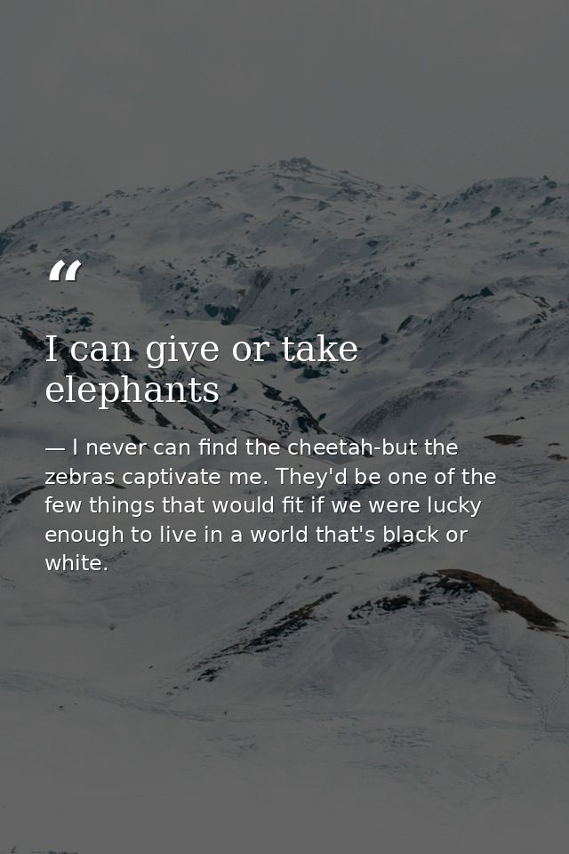 I can give or take elephants — I never can find the cheetah-but the zebras captivate me. They'd be one of the few things that would fit if we were lucky enough to live in a world that's black or white.