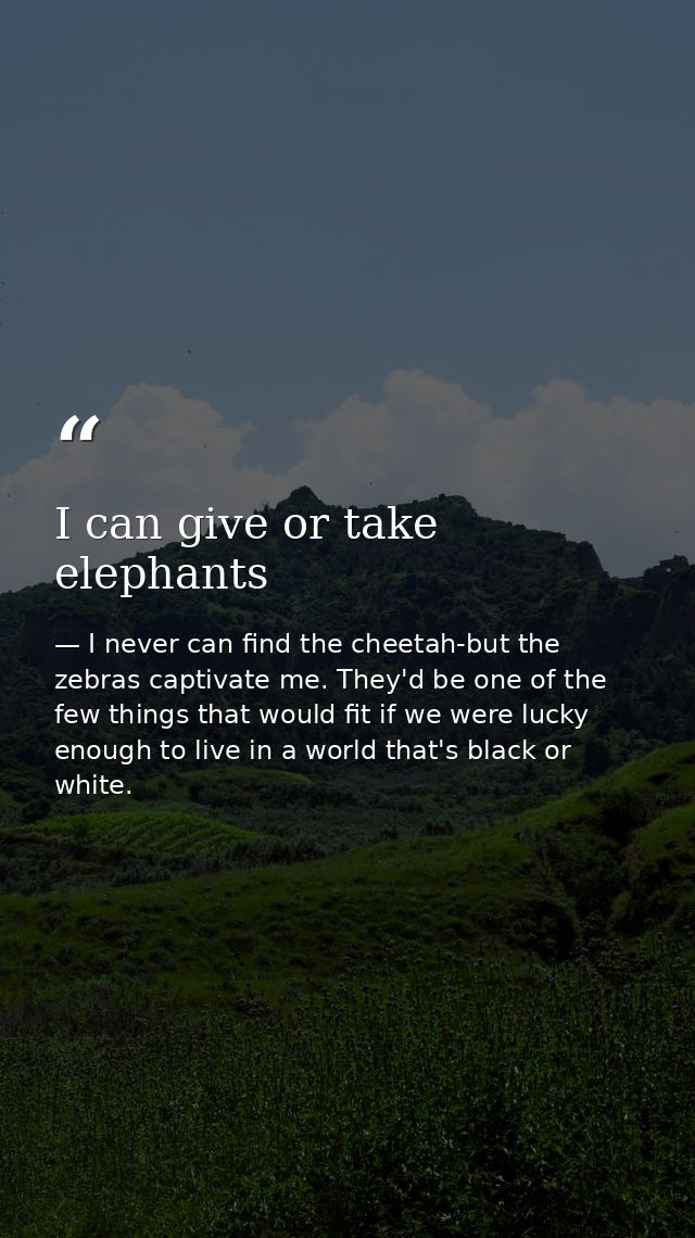 I can give or take elephants — I never can find the cheetah-but the zebras captivate me. They'd be one of the few things that would fit if we were lucky enough to live in a world that's black or white.