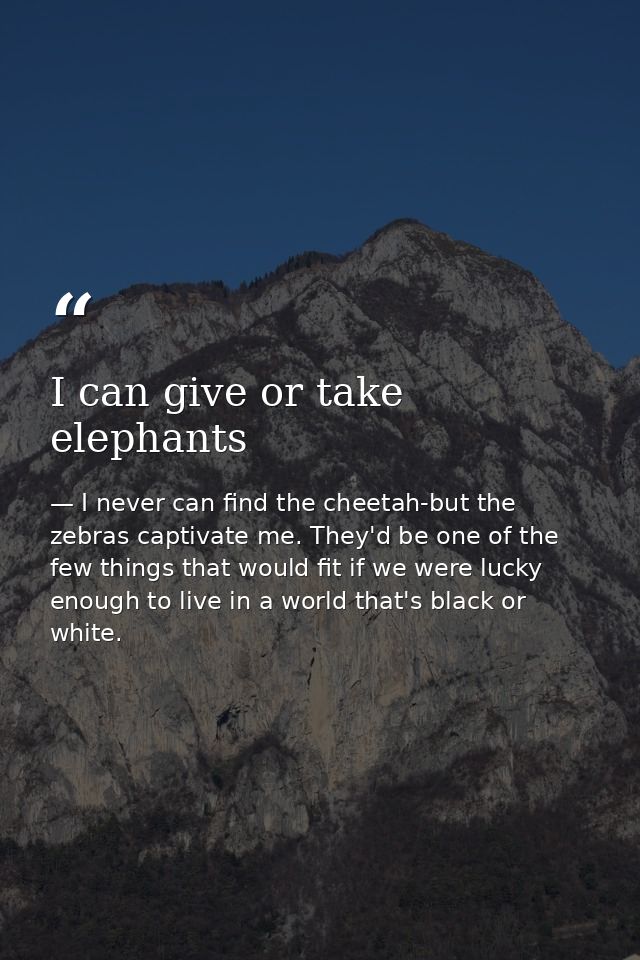 I can give or take elephants — I never can find the cheetah-but the zebras captivate me. They'd be one of the few things that would fit if we were lucky enough to live in a world that's black or white.
