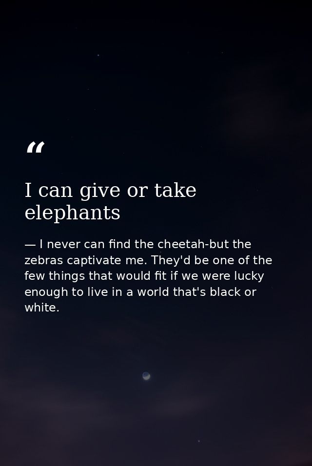 I can give or take elephants — I never can find the cheetah-but the zebras captivate me. They'd be one of the few things that would fit if we were lucky enough to live in a world that's black or white.