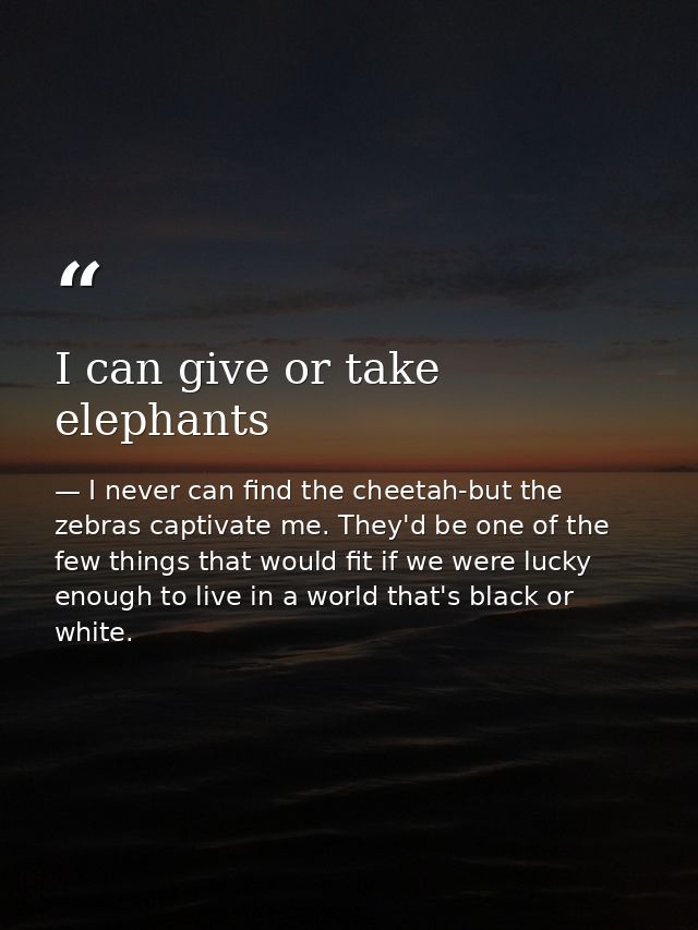 I can give or take elephants — I never can find the cheetah-but the zebras captivate me. They'd be one of the few things that would fit if we were lucky enough to live in a world that's black or white.