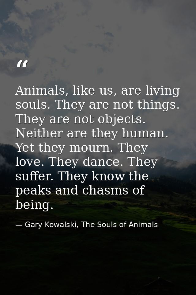 Animals, like us, are living souls. They are not things. They are not objects. Neither are they human. Yet they mourn. T — Gary Kowalski, The Souls of Animals