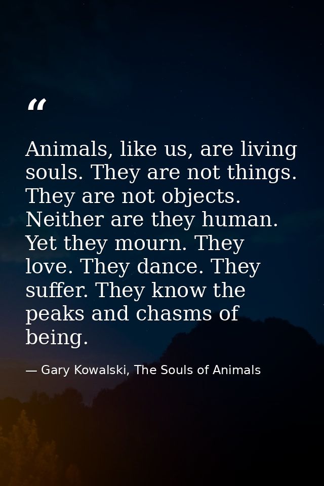 Animals, like us, are living souls. They are not things. They are not objects. Neither are they human. Yet they mourn. T — Gary Kowalski, The Souls of Animals