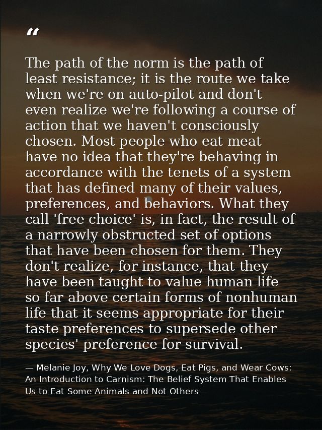 The path of the norm is the path of least resistance; it is the route we take when we're on auto-pilot and don't even re — Melanie Joy, Why We Love Dogs, Eat Pigs, and Wear Cows: An Introduction to Carnism: The Belief System That Enables Us to Eat Some Animals and Not Others