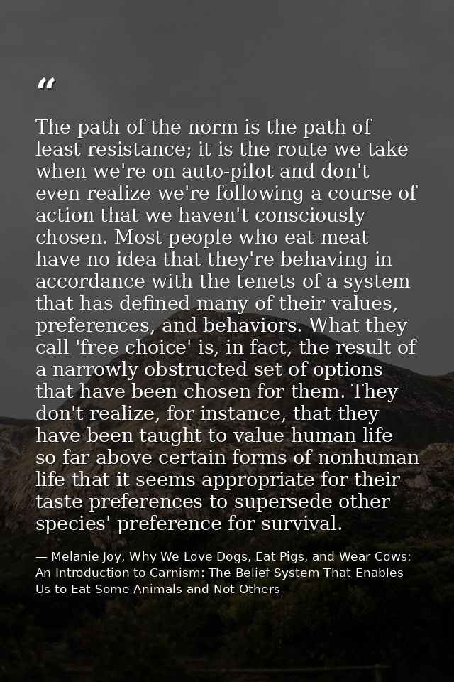 The path of the norm is the path of least resistance; it is the route we take when we're on auto-pilot and don't even re — Melanie Joy, Why We Love Dogs, Eat Pigs, and Wear Cows: An Introduction to Carnism: The Belief System That Enables Us to Eat Some Animals and Not Others