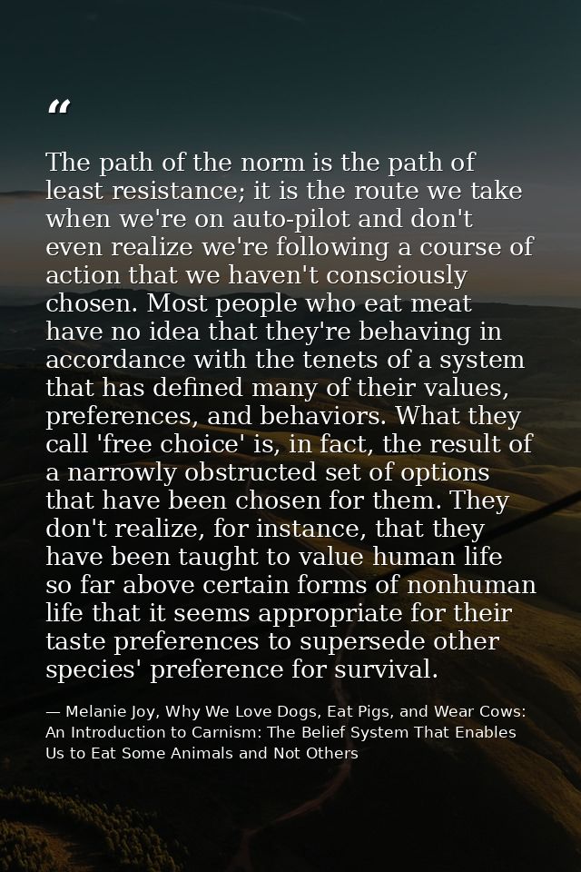 The path of the norm is the path of least resistance; it is the route we take when we're on auto-pilot and don't even re — Melanie Joy, Why We Love Dogs, Eat Pigs, and Wear Cows: An Introduction to Carnism: The Belief System That Enables Us to Eat Some Animals and Not Others