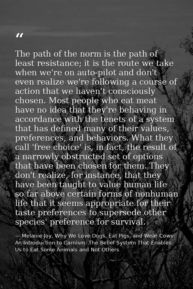 The path of the norm is the path of least resistance; it is the route we take when we're on auto-pilot and don't even re — Melanie Joy, Why We Love Dogs, Eat Pigs, and Wear Cows: An Introduction to Carnism: The Belief System That Enables Us to Eat Some Animals and Not Others