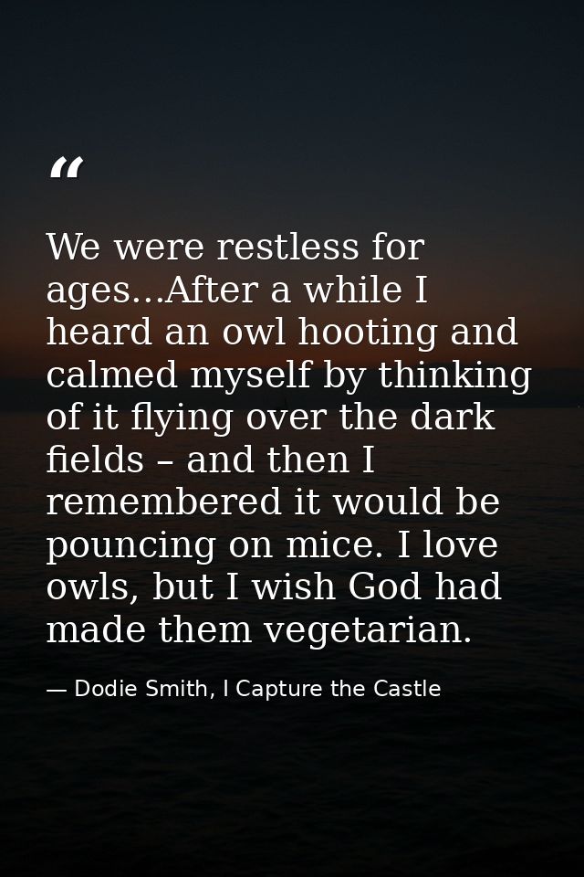 We were restless for ages...After a while I heard an owl hooting and calmed myself by thinking of it flying over the dar — Dodie Smith, I Capture the Castle