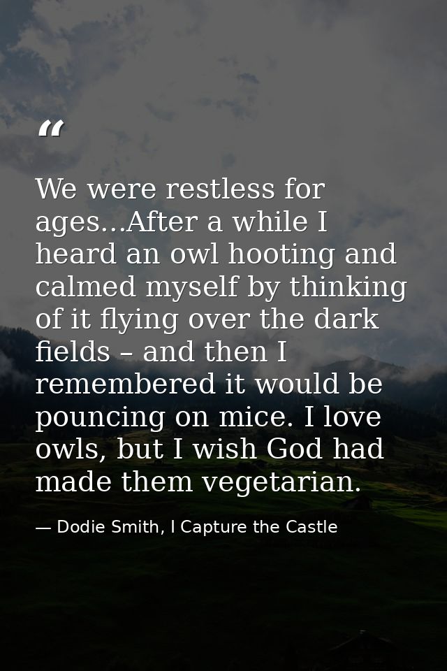 We were restless for ages...After a while I heard an owl hooting and calmed myself by thinking of it flying over the dar — Dodie Smith, I Capture the Castle