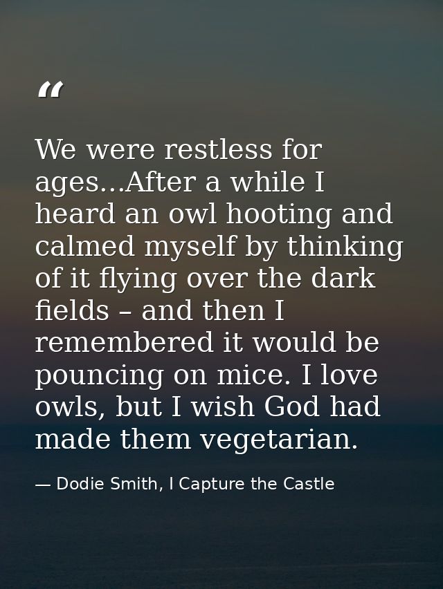 We were restless for ages...After a while I heard an owl hooting and calmed myself by thinking of it flying over the dar — Dodie Smith, I Capture the Castle