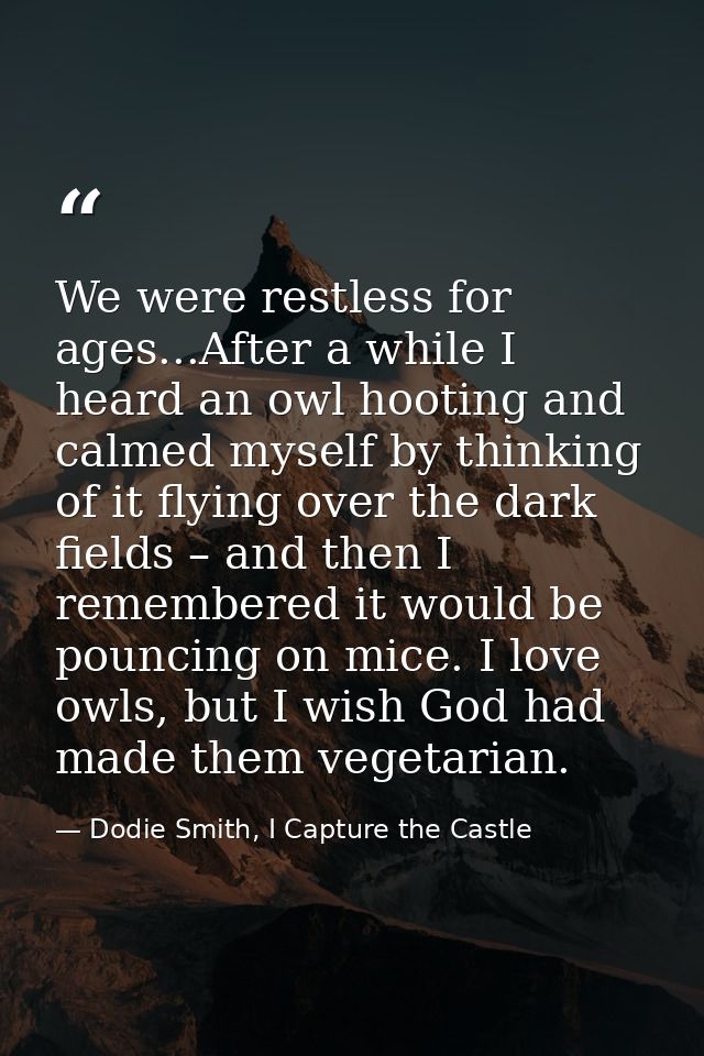 We were restless for ages...After a while I heard an owl hooting and calmed myself by thinking of it flying over the dar — Dodie Smith, I Capture the Castle