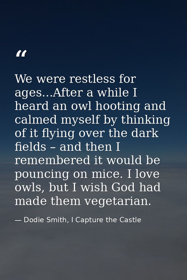 We were restless for ages...After a while I heard an owl hooting and calmed myself by thinking of it flying over the dar — Dodie Smith, I Capture the Castle