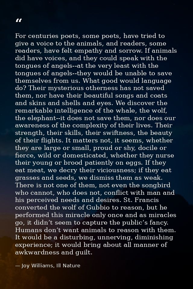 For centuries poets, some poets, have tried to give a voice to the animals, and readers, some readers, have felt empathy — Joy Williams, Ill Nature