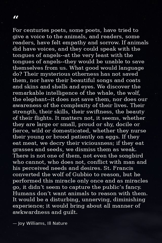 For centuries poets, some poets, have tried to give a voice to the animals, and readers, some readers, have felt empathy — Joy Williams, Ill Nature